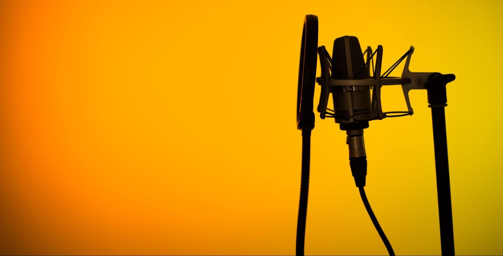 Hindi Voice Over artists in Jaipur