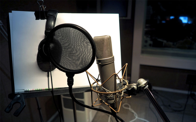 Media Production Voice Over Translation Artist